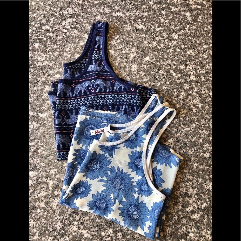 Pair of Mudd Sheer Tank Tops, Juniors, Large